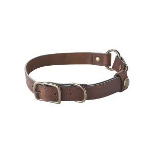 Leather Dog Collar