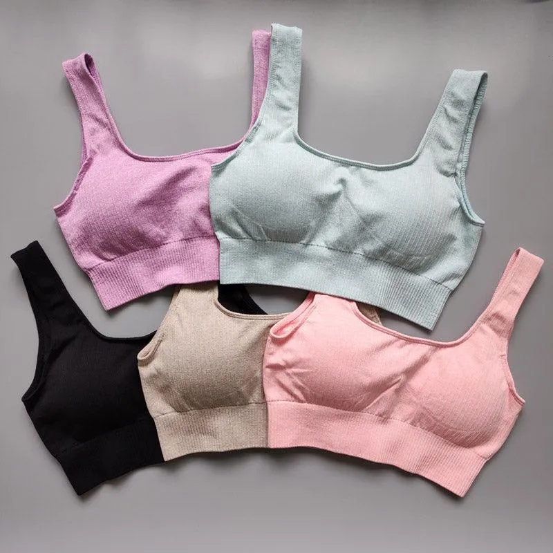 RIBBON Seamless Bras